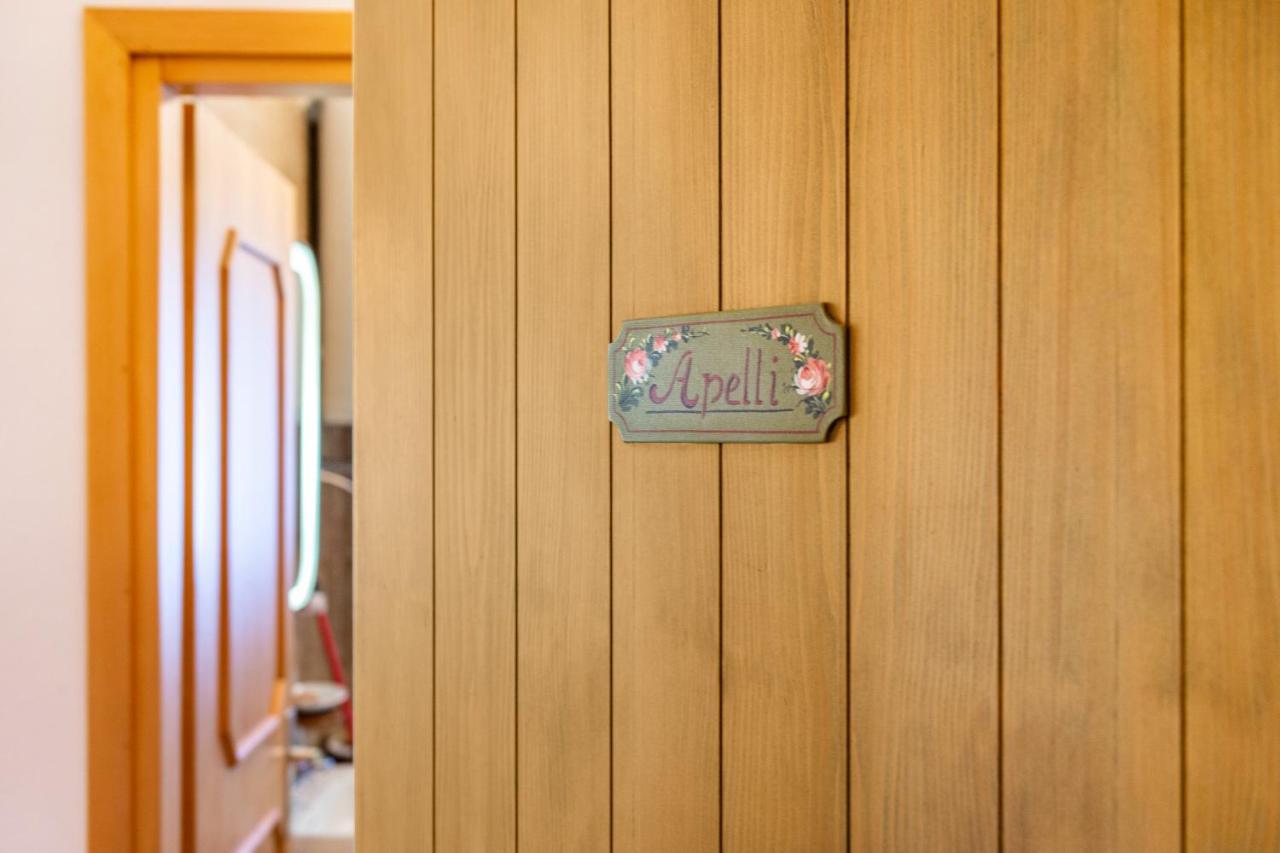 Ciasa Apelli Apartman Pozza di Fassa Kültér fotó